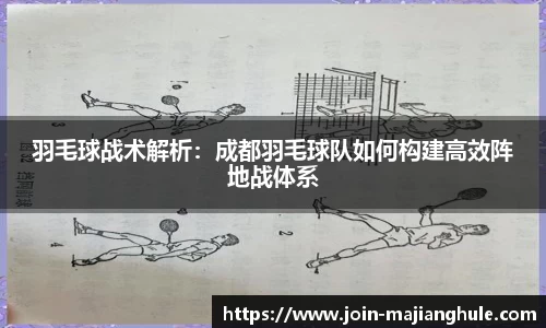 羽毛球战术解析：成都羽毛球队如何构建高效阵地战体系